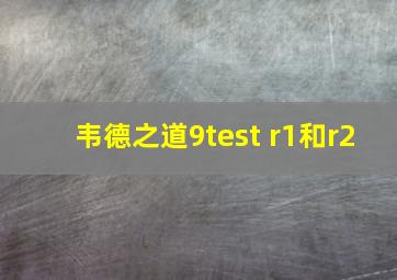 韦德之道9test r1和r2